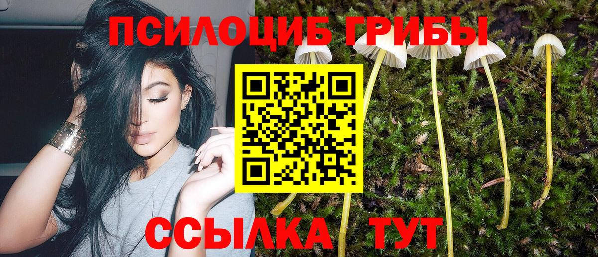 Псилоцибиновые грибы Cubensis  Галлюциногенные грибы MAGIC MUSHROOMS  Пыть-Ях  Вход с VPN 